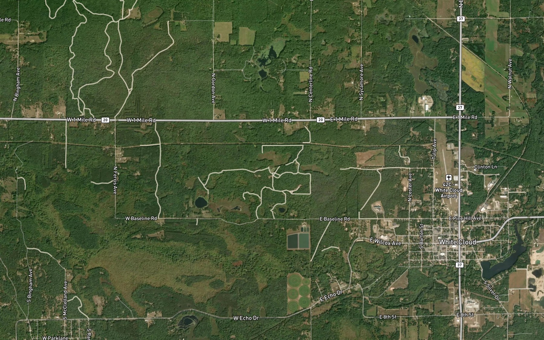 Satellite map of the Trout Lake