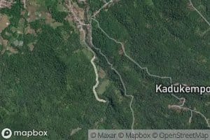 Ci Kadukempong