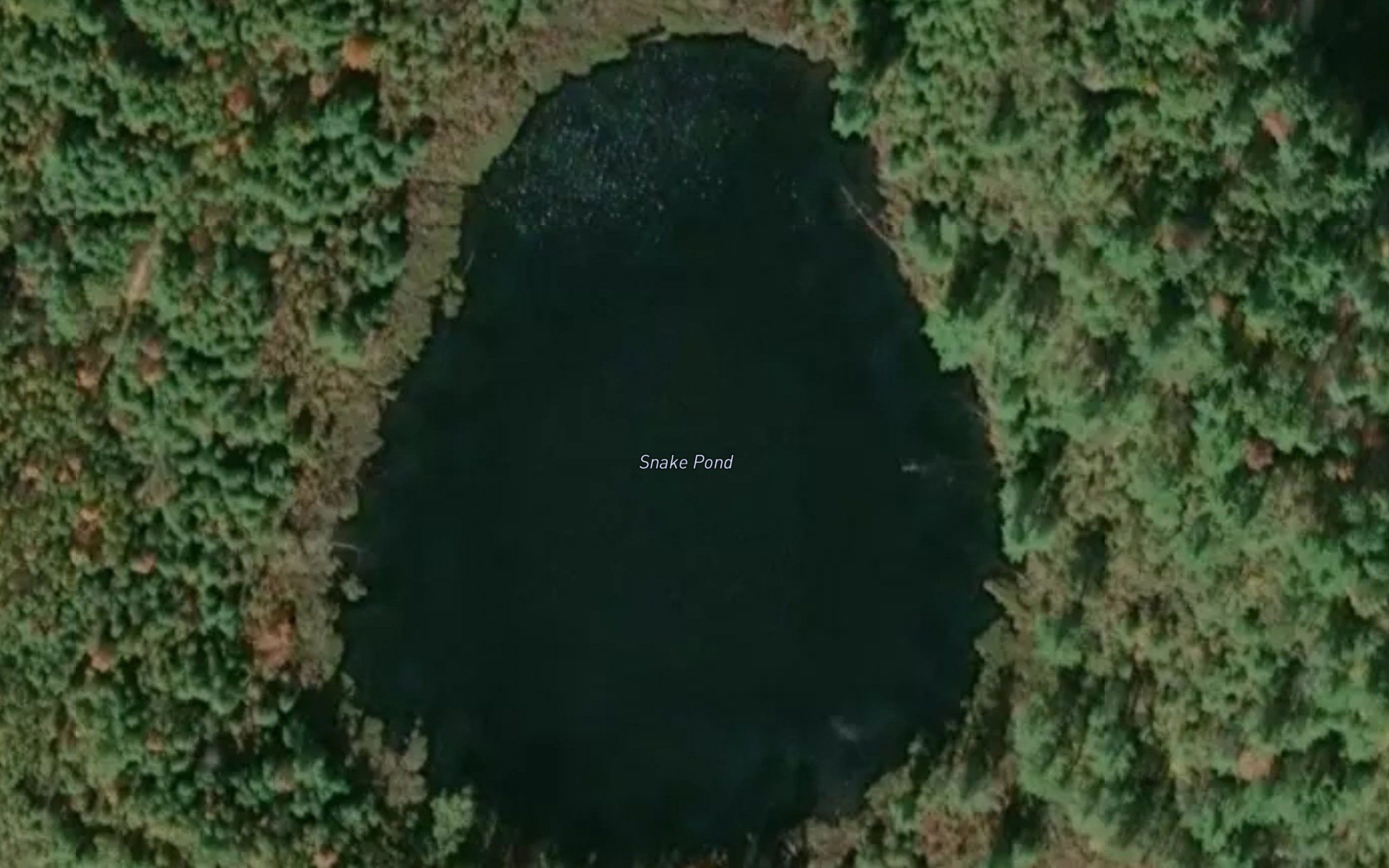 Snake Pond