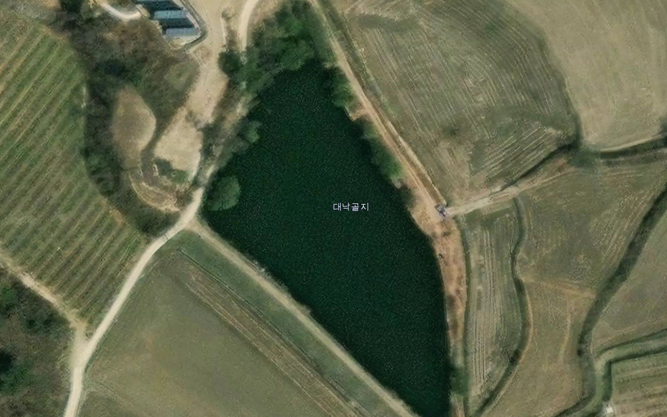 Daenatgolji