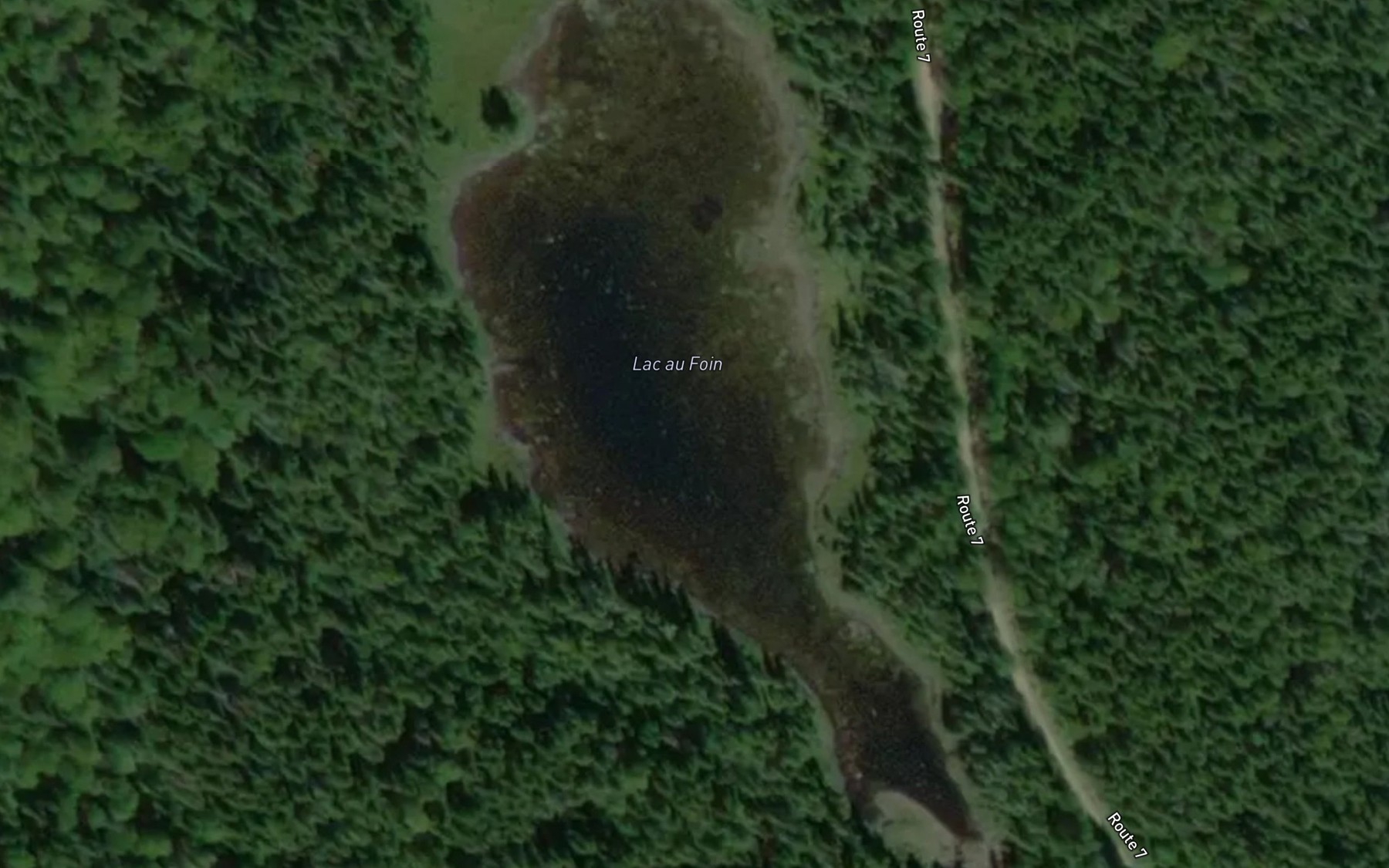 Satellite map of the Lac au Foin