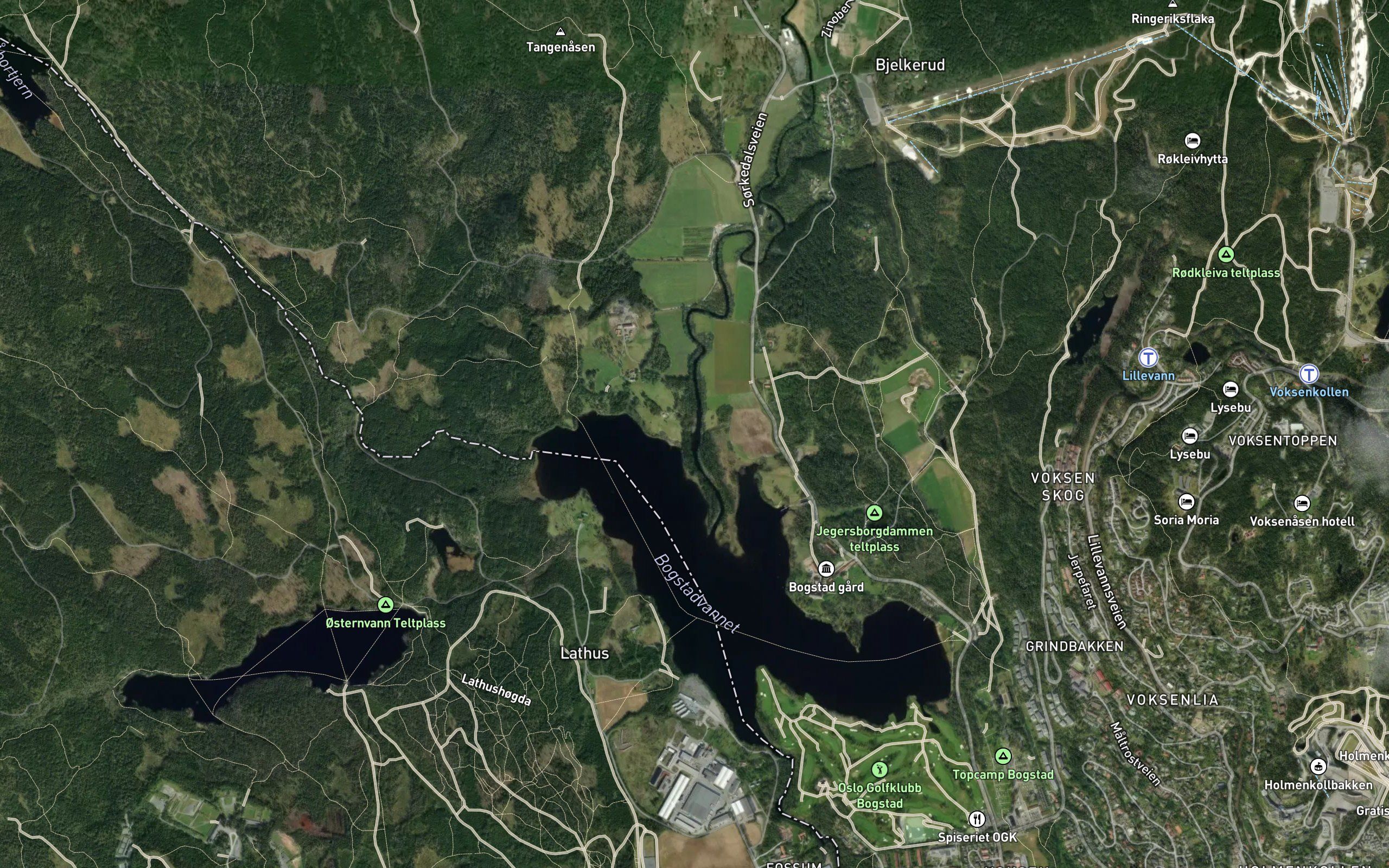 Heggelielva
