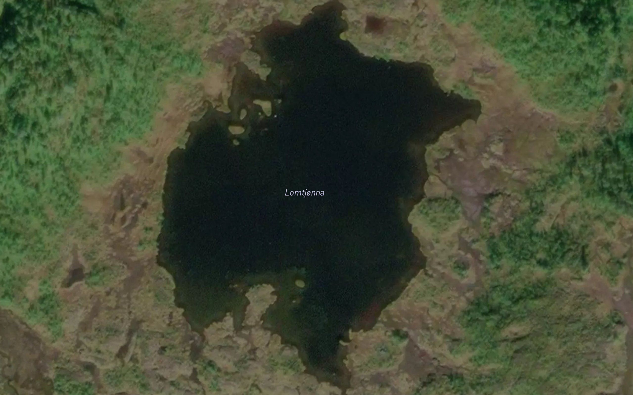 Fisktjonna
