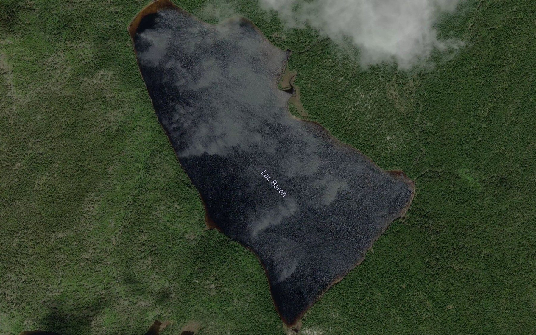 Satellite map of the Lac Baron