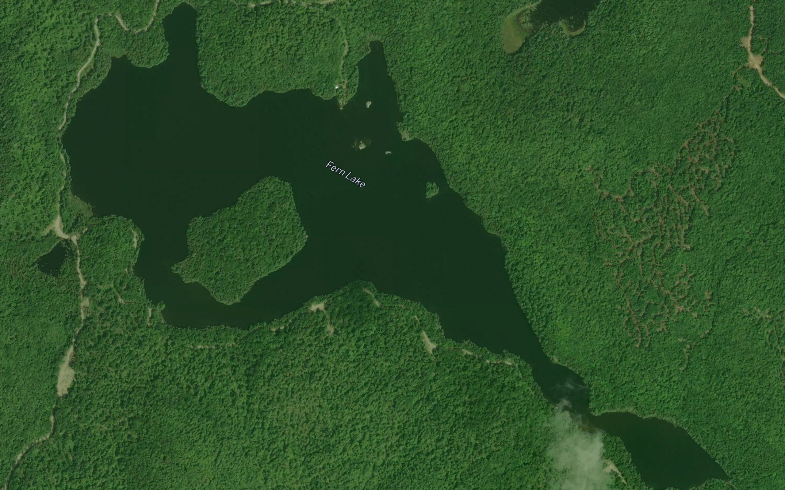 Fern Lake