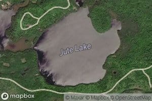 Jute Lake