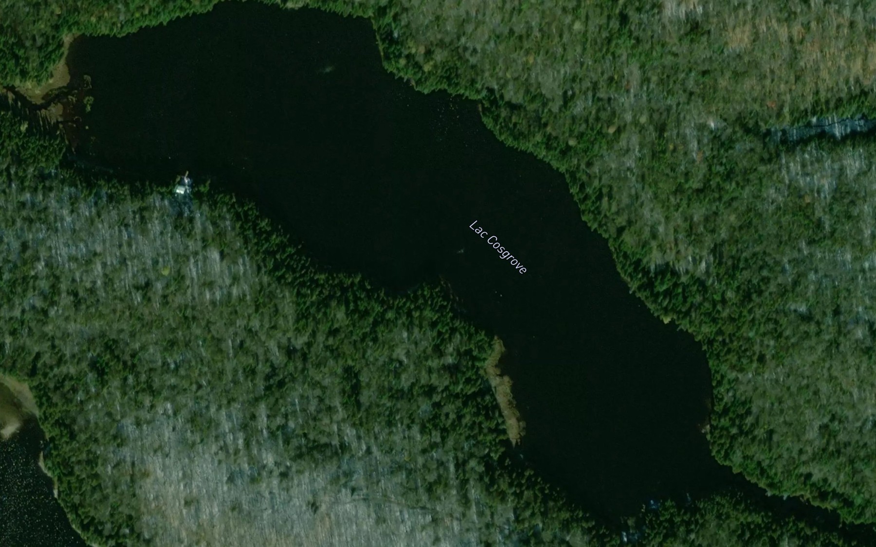 Satellite map of the Lac Cosgrove