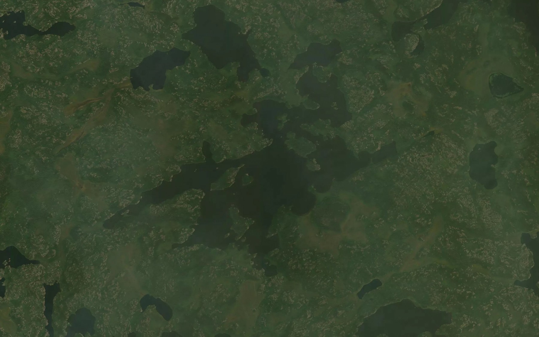 Satellite map of the Disbrowe Lake