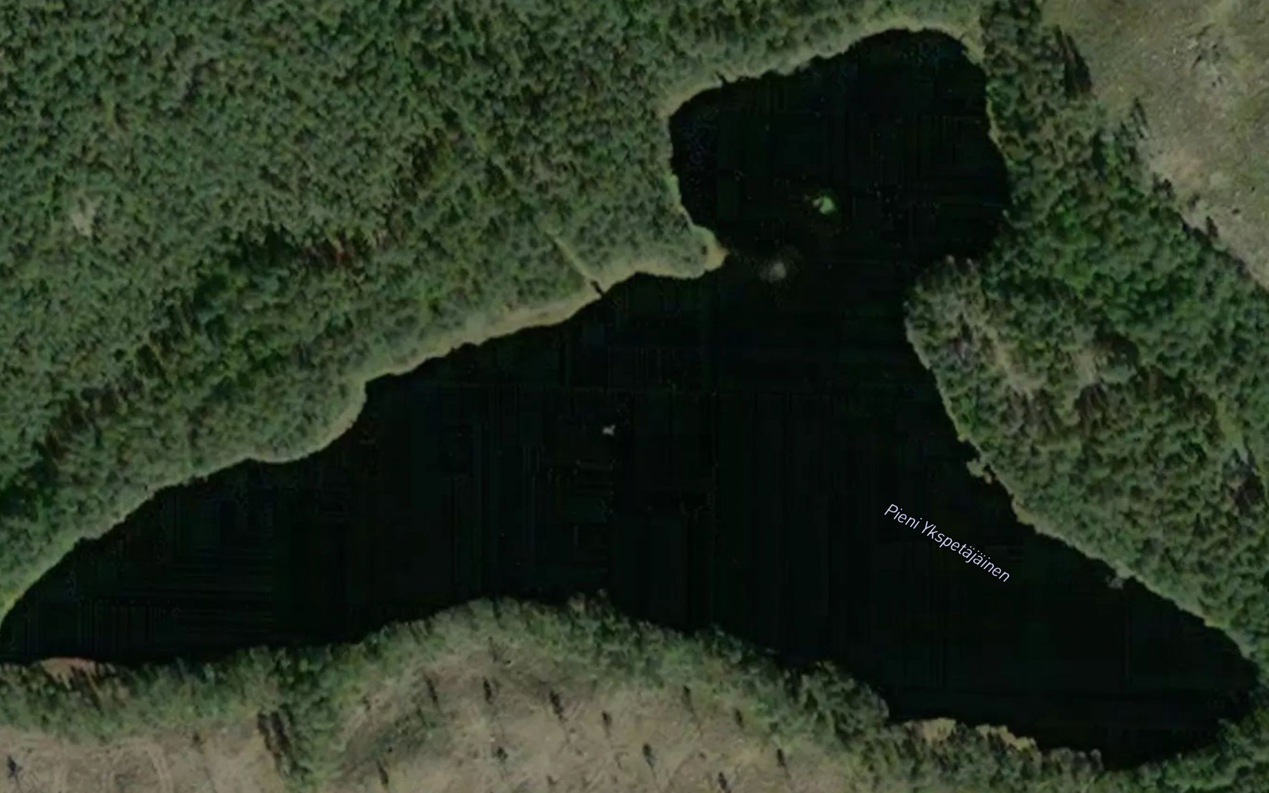 Pieni Ykspetajainen