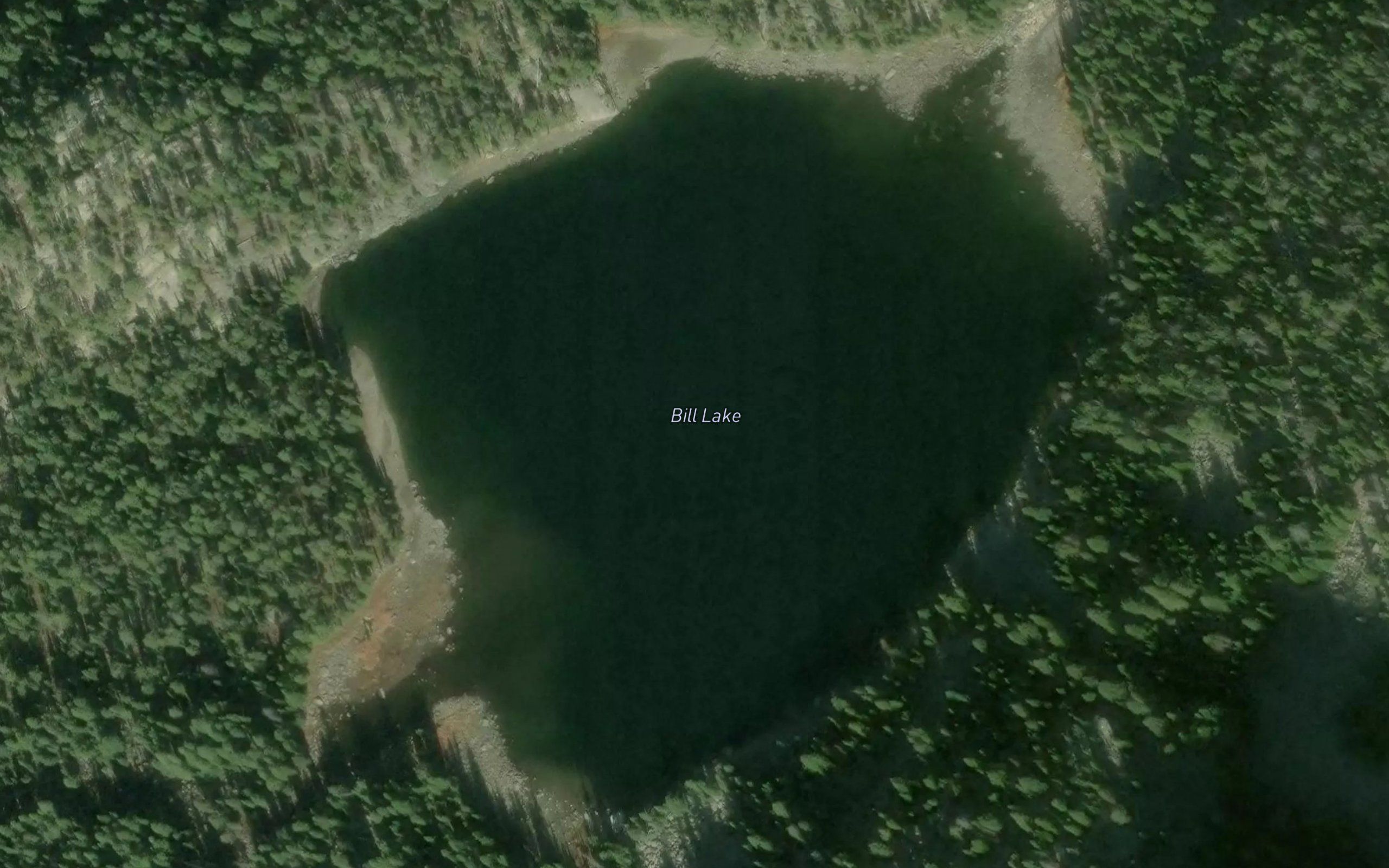 Bill Lake