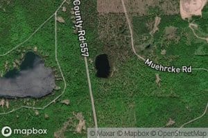 Pine Lake, Forsyth Township