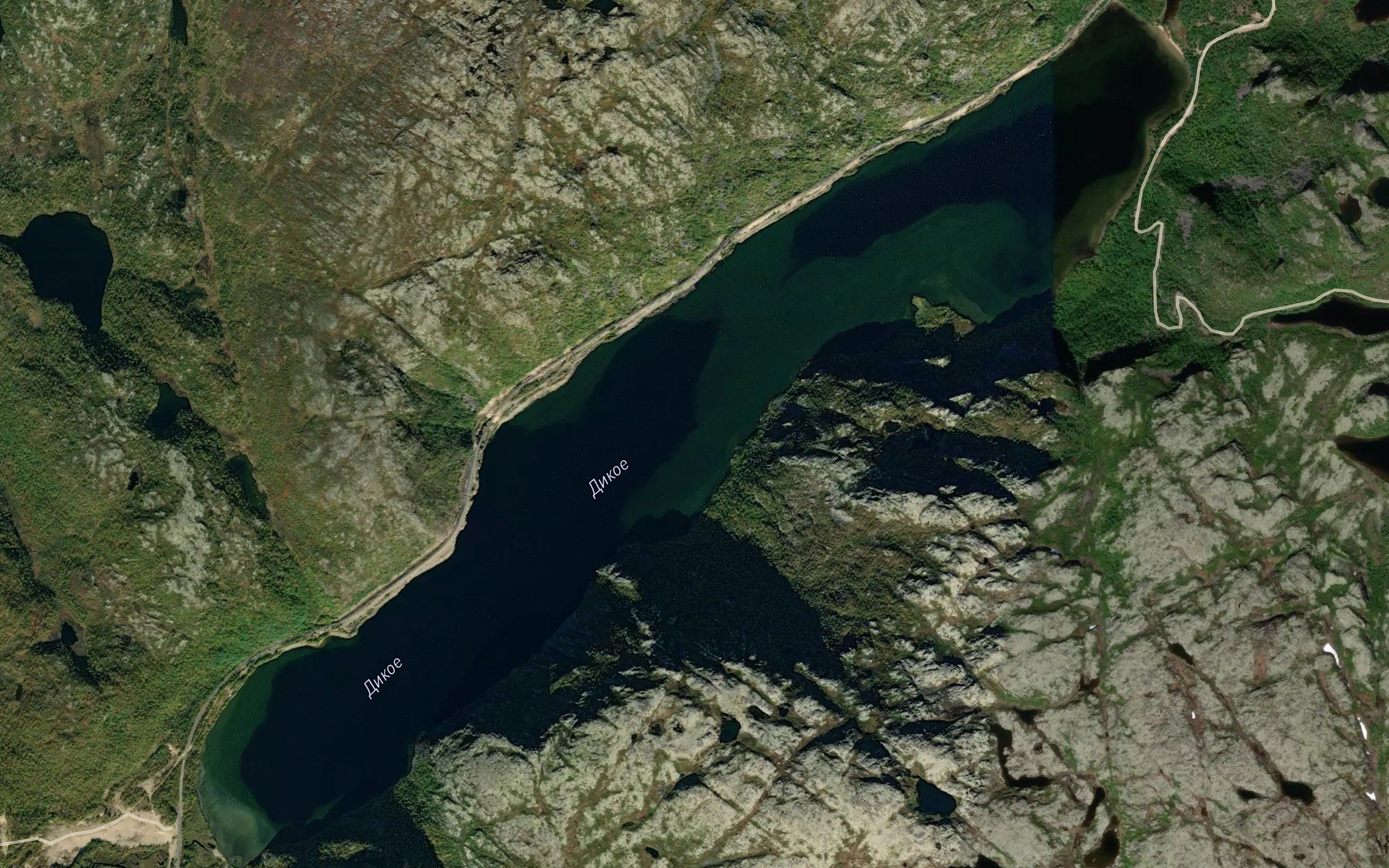 Ozero Dikoye
