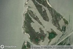 Oyster Creek Gut