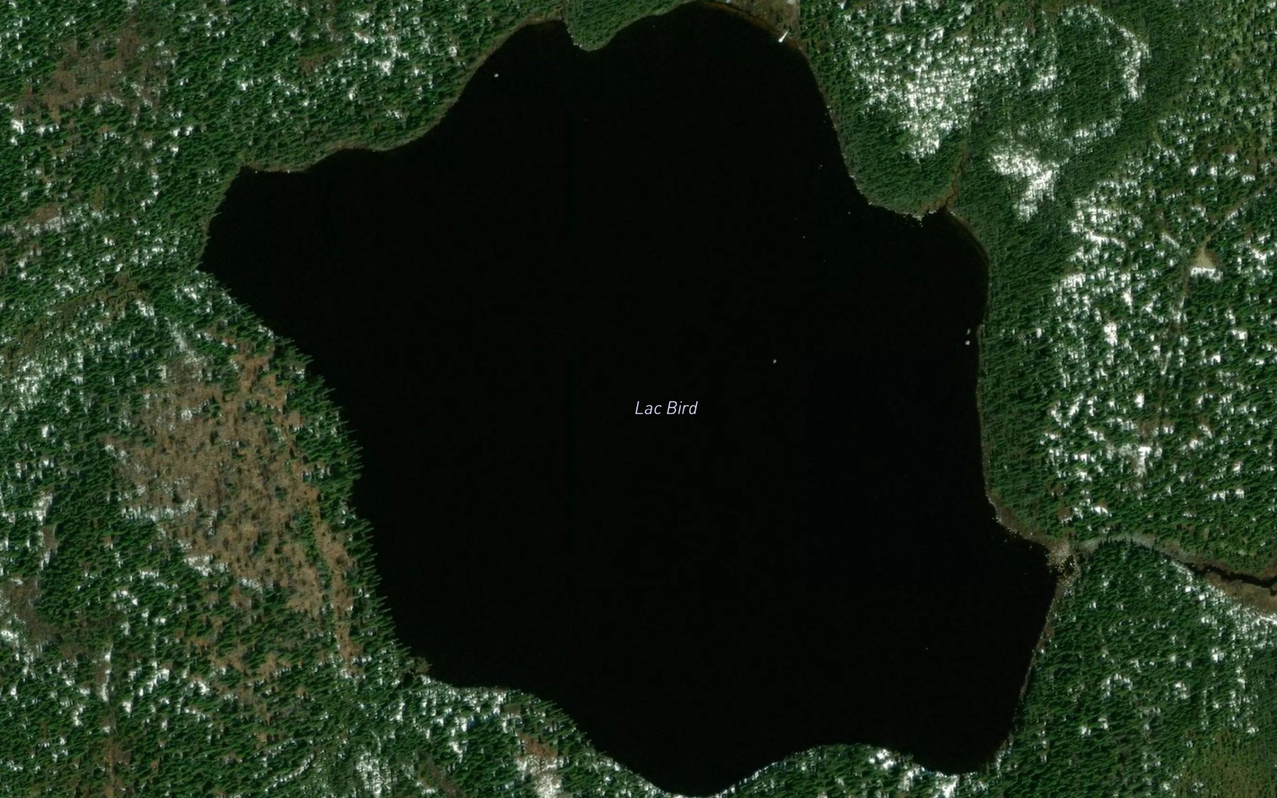 Satellite map of the Lac Bird
