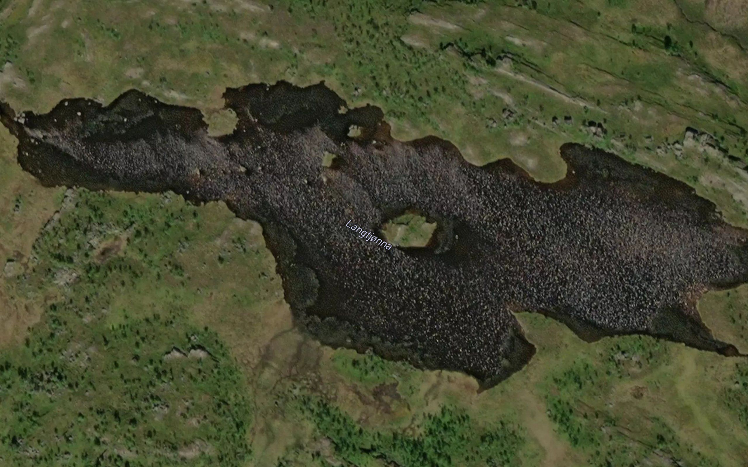 Langtjonna