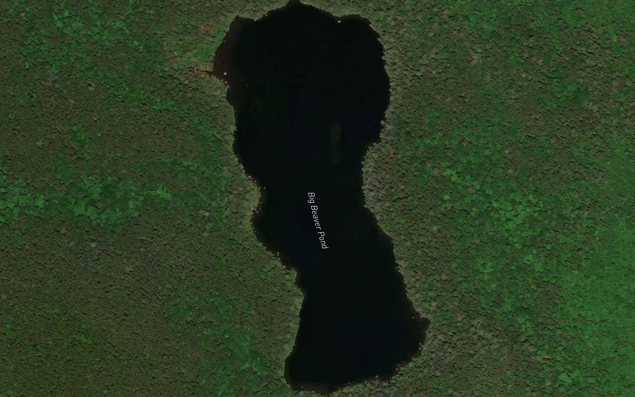 Big Beaver Pond