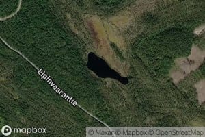 Lehmilampi