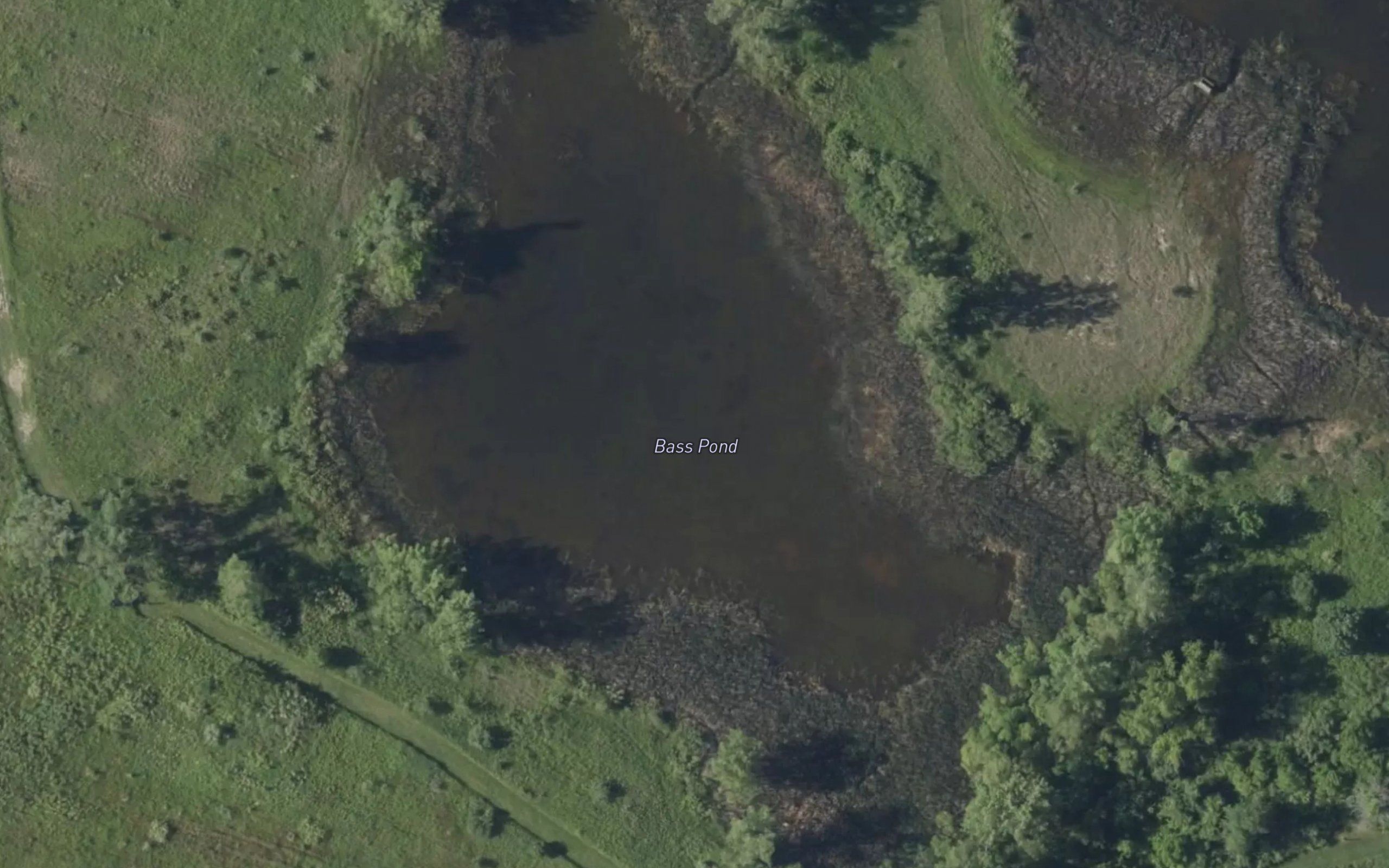 Bass Pond