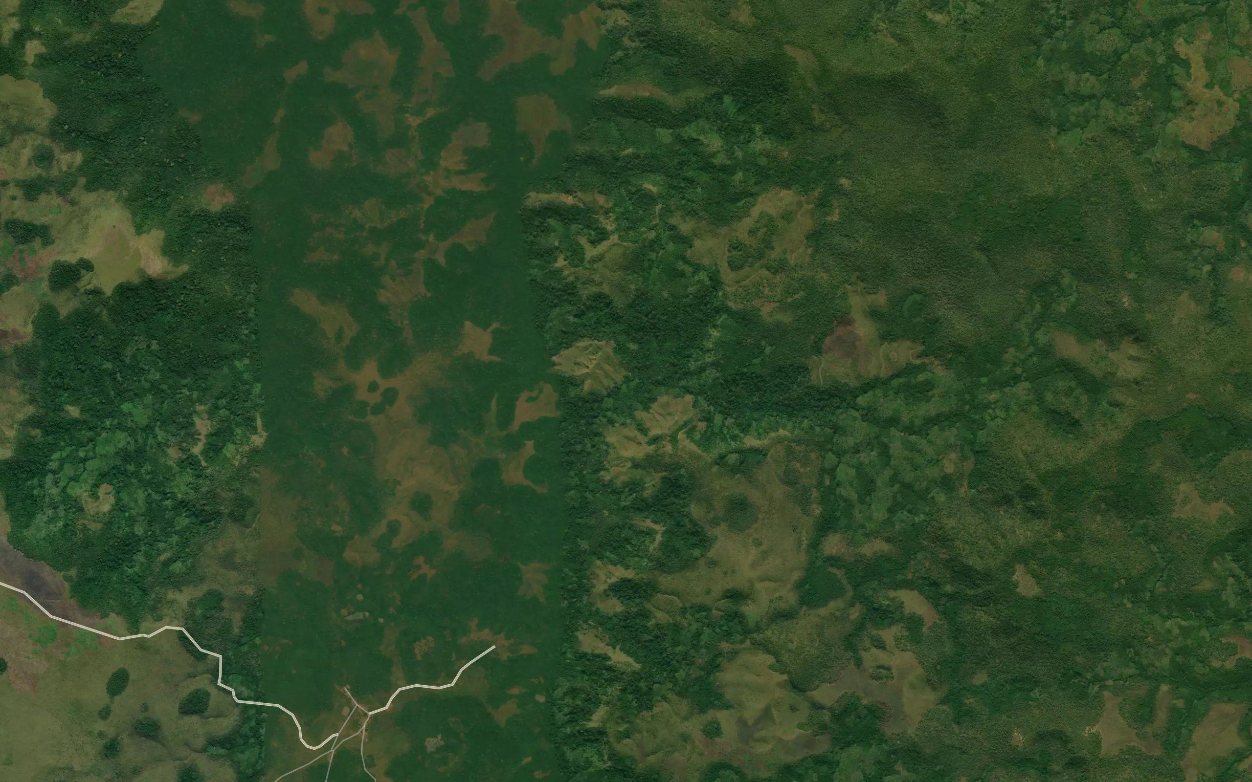 Buaca
