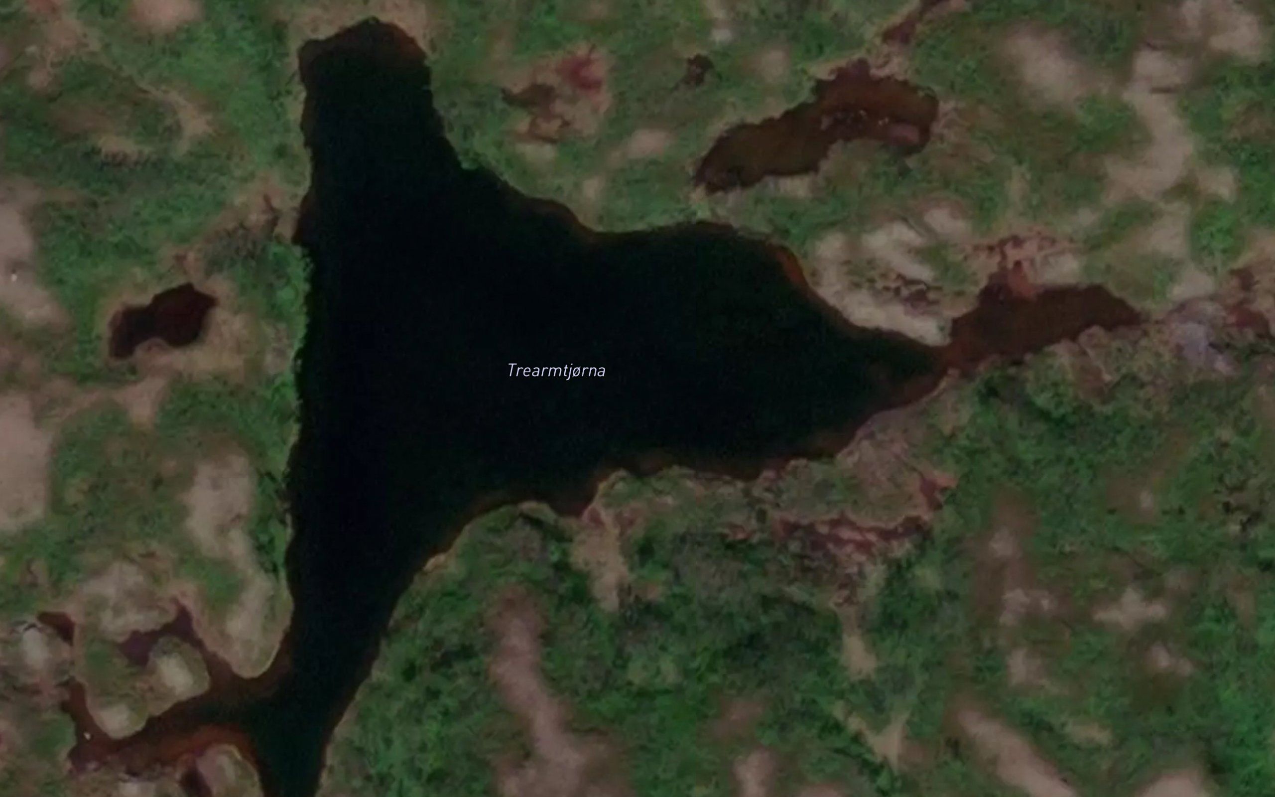 Trearmtjorna