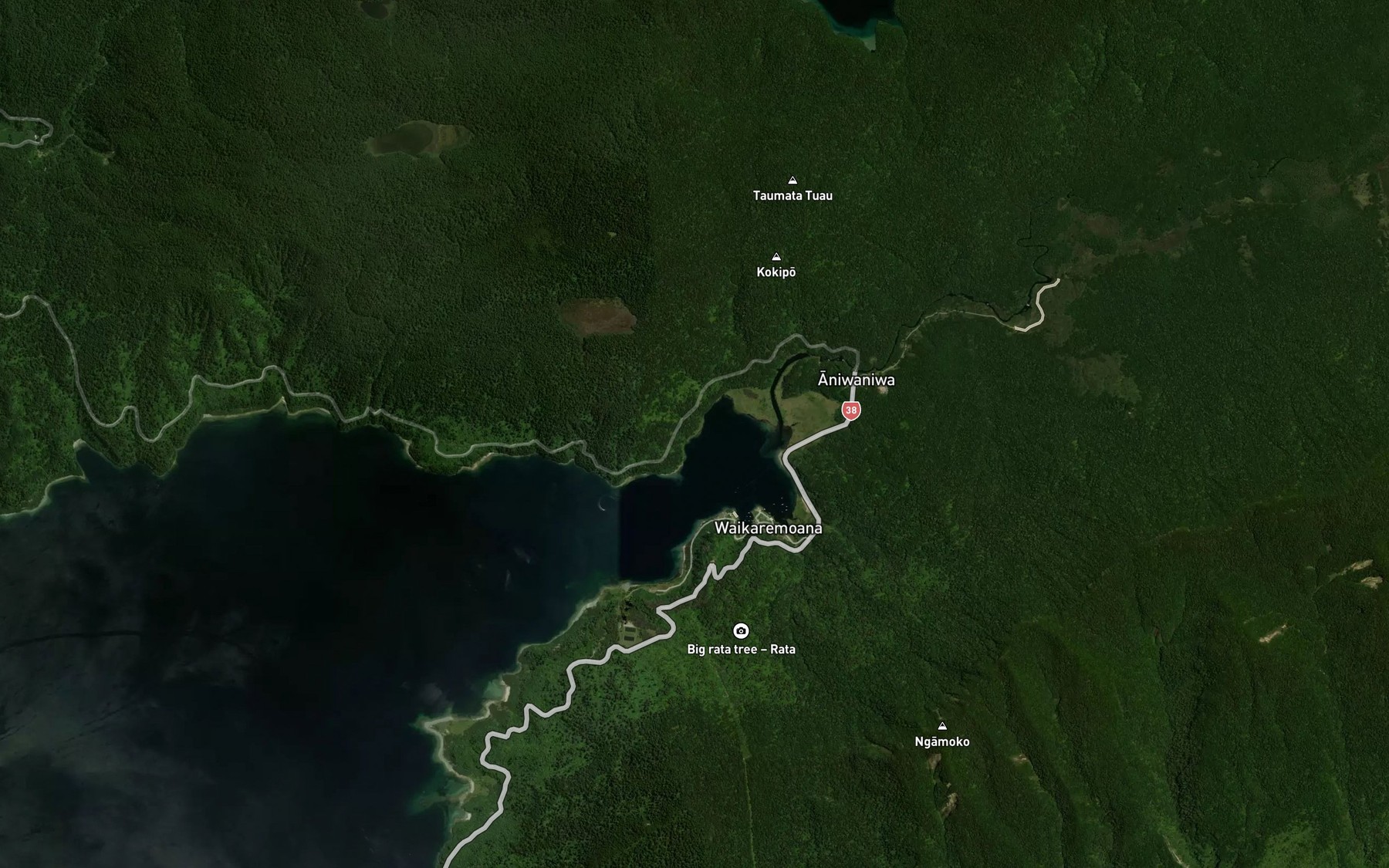 Satellite map of the Opourau Bay
