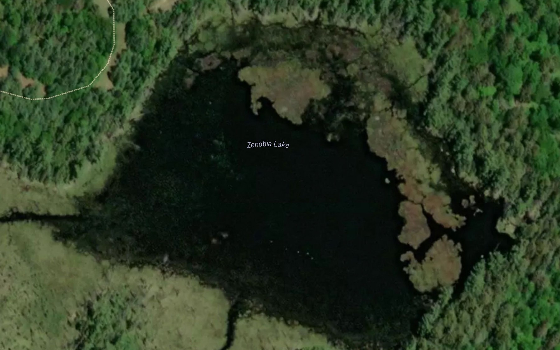 Satellite map of the Zenobia Lake