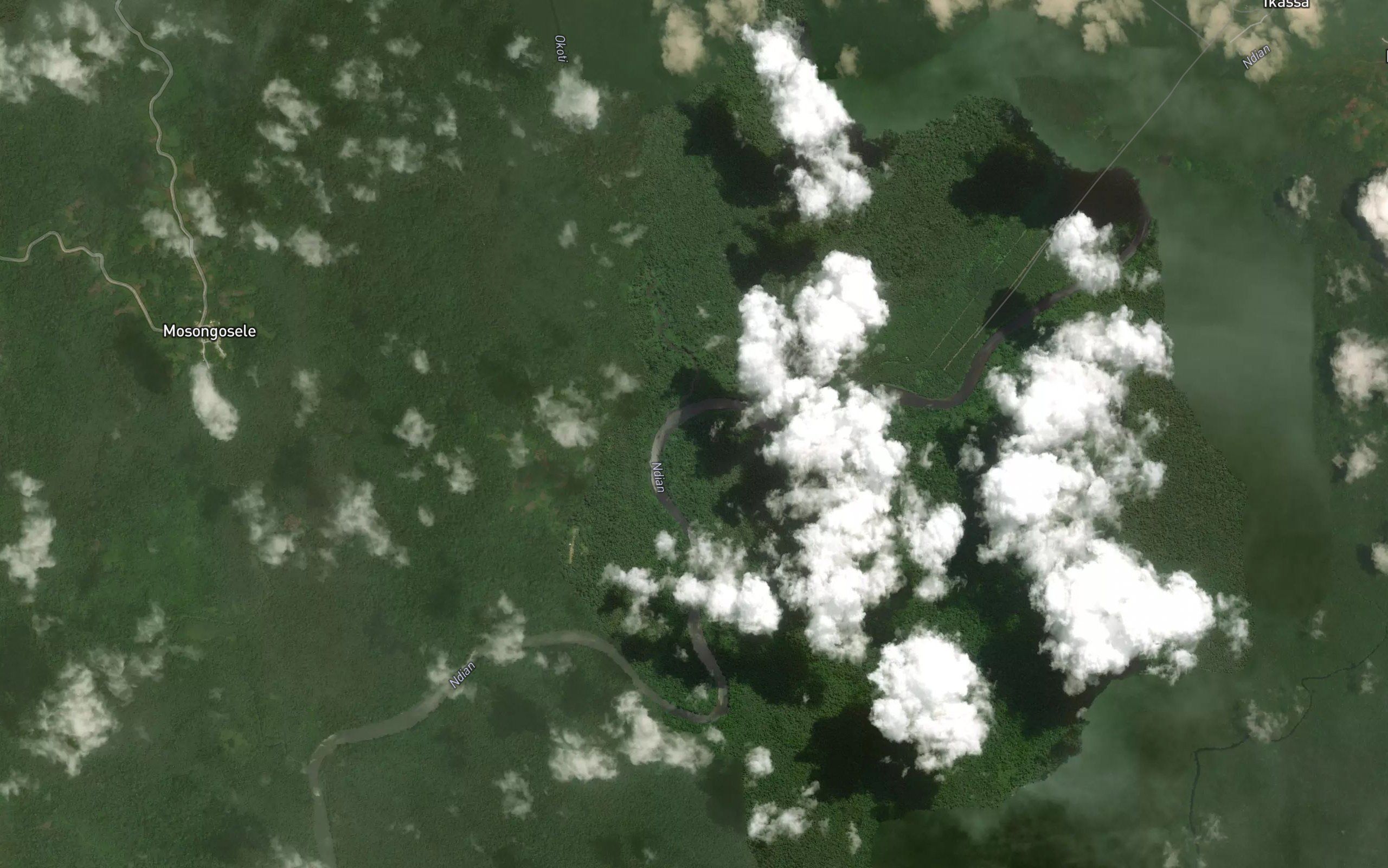 Okoti