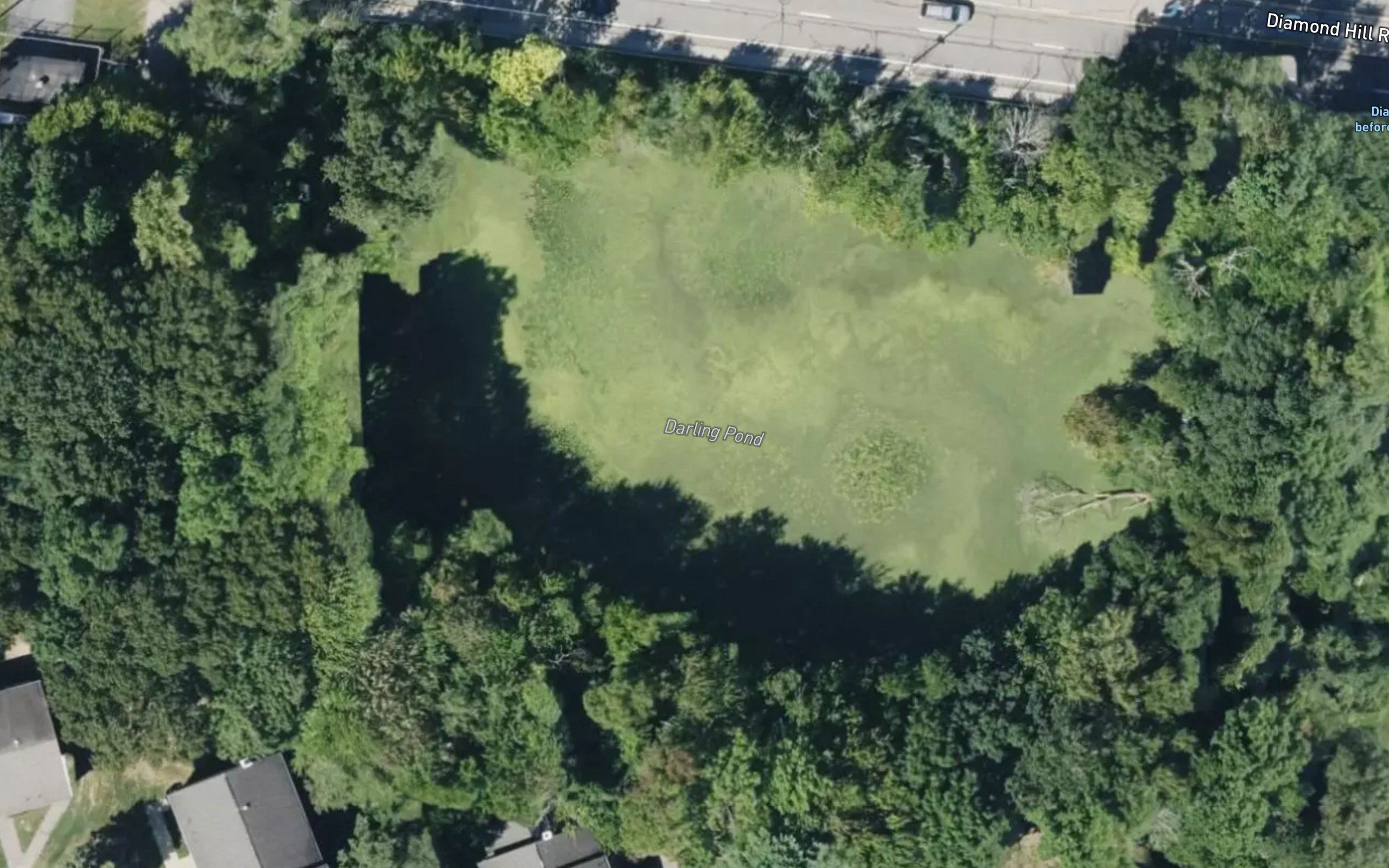Darling Pond