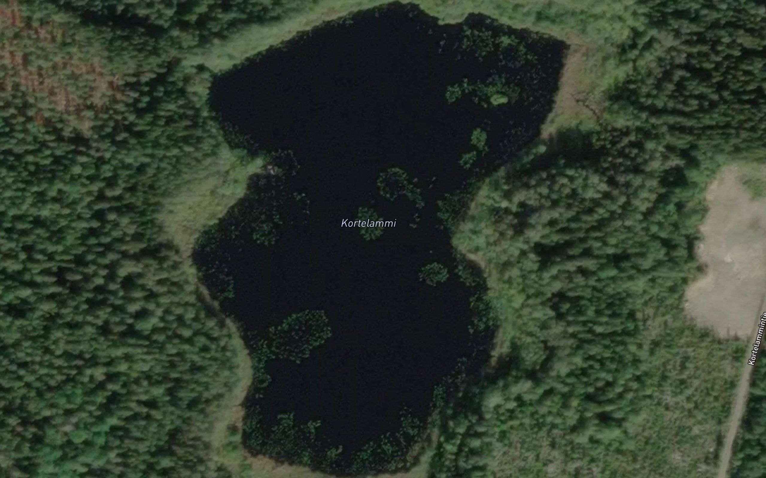Kortelammi
