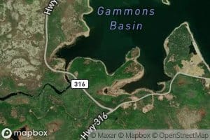 Gammons Basin