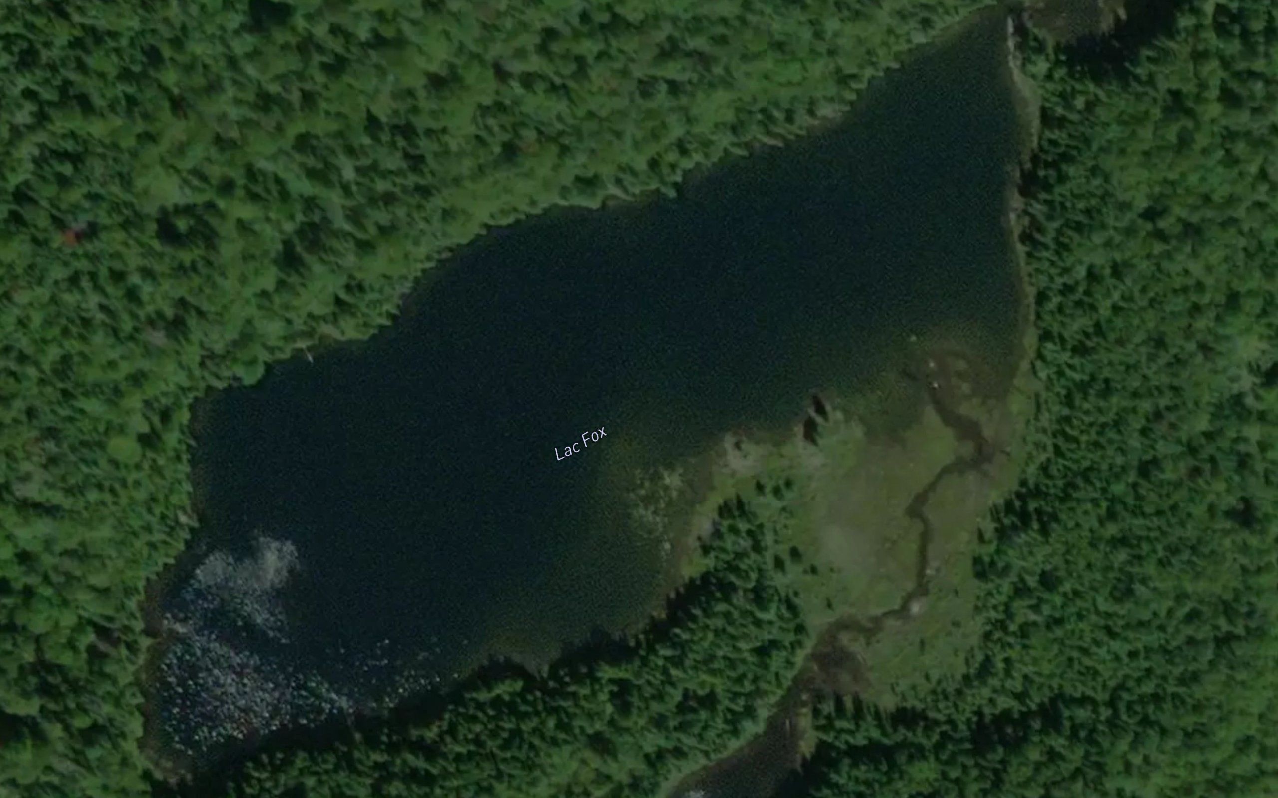 Lac Fox