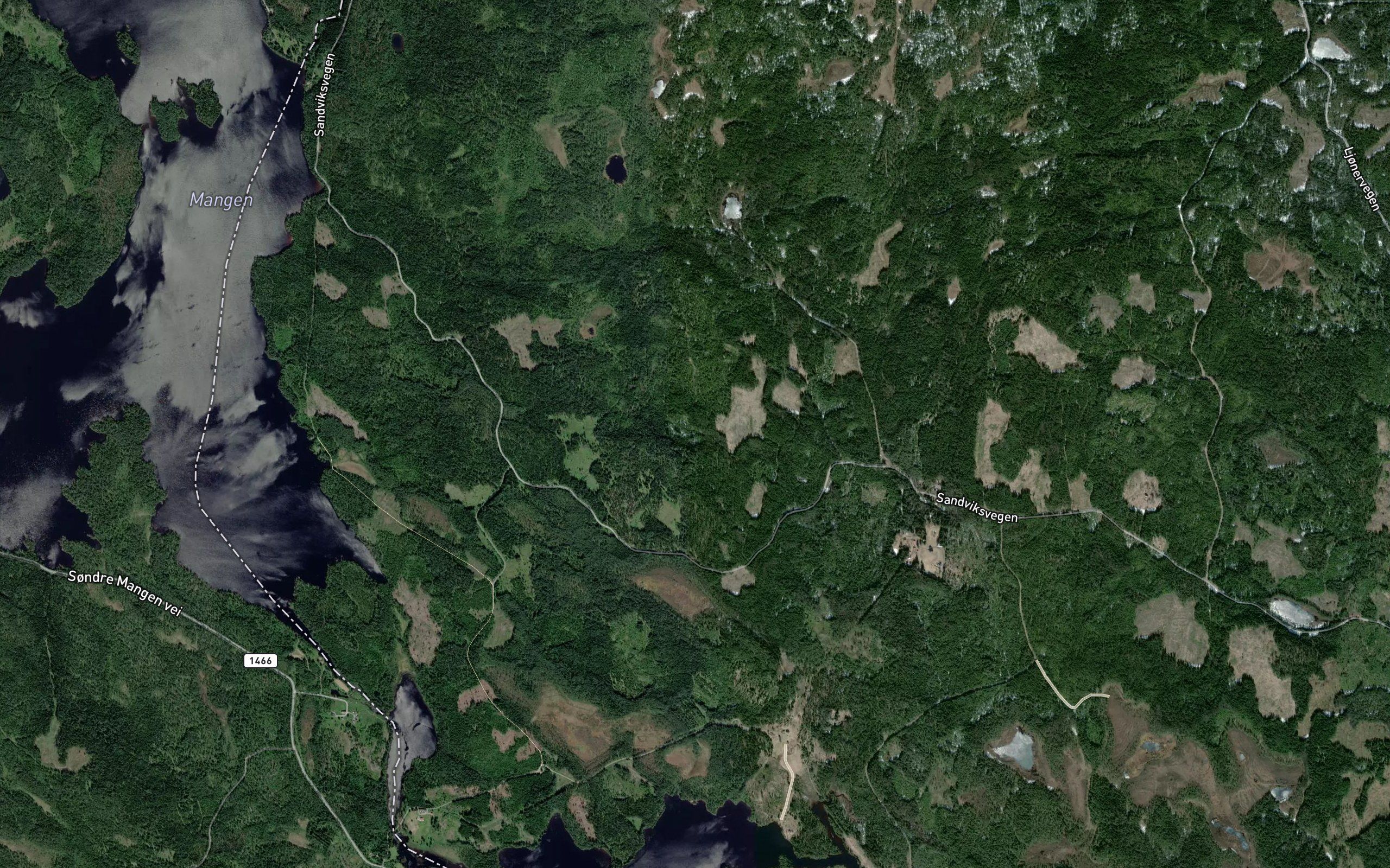 Hoglihola