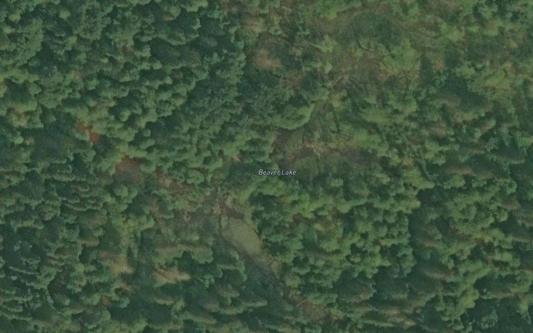 Satellite map of the Beaver Lake