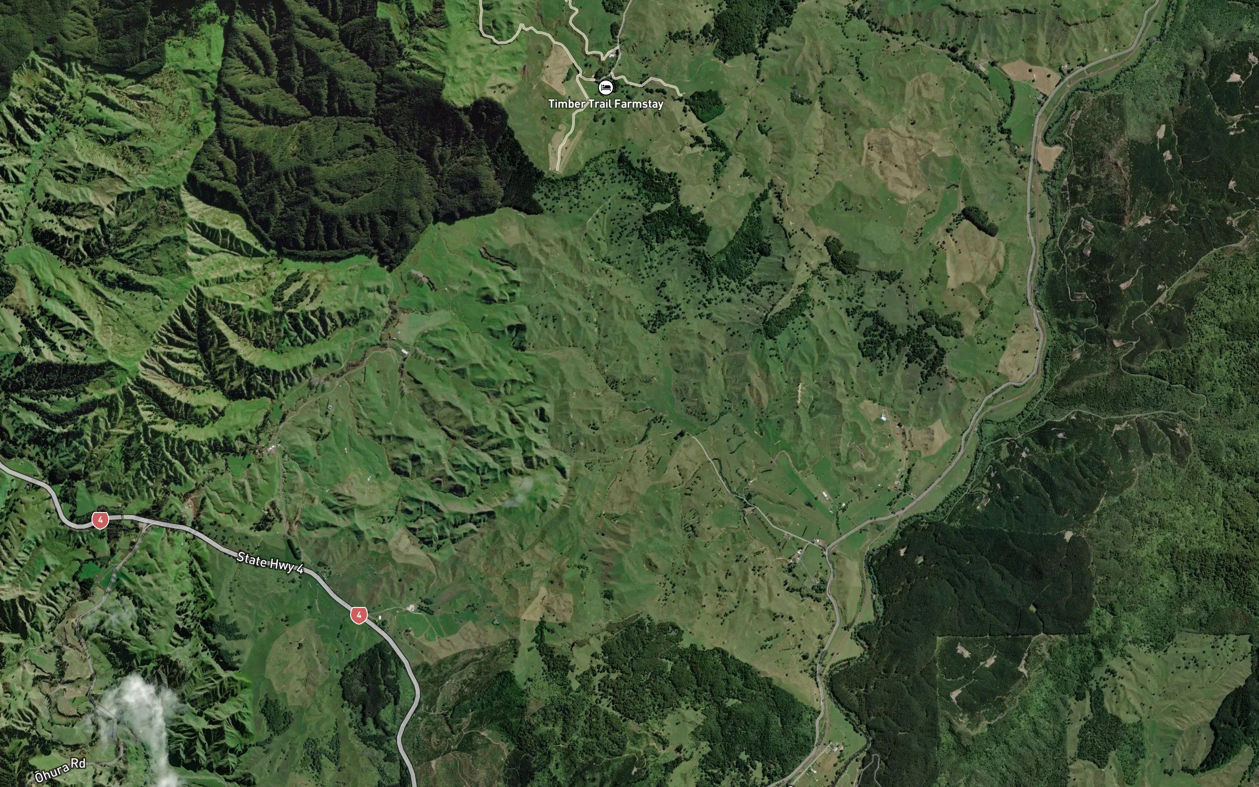 Mangakahikatea Stream