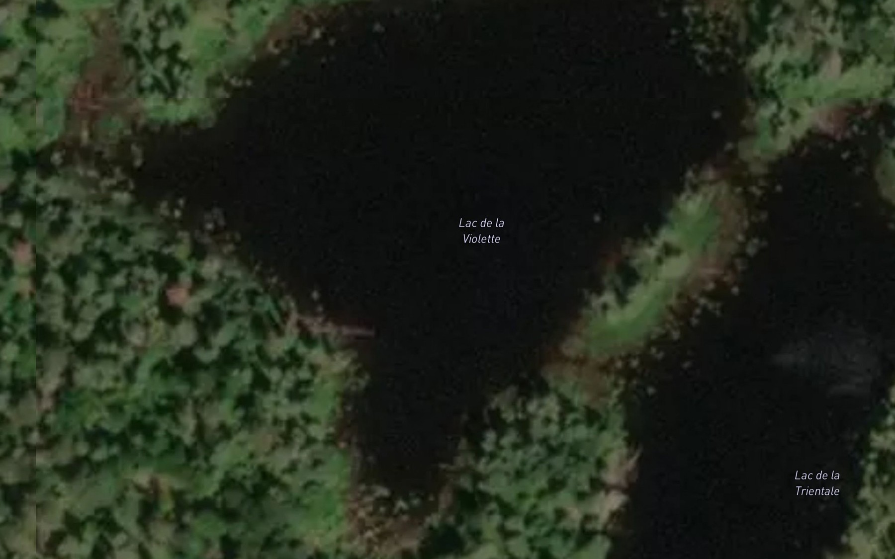 Satellite map of the Lac de la Violette