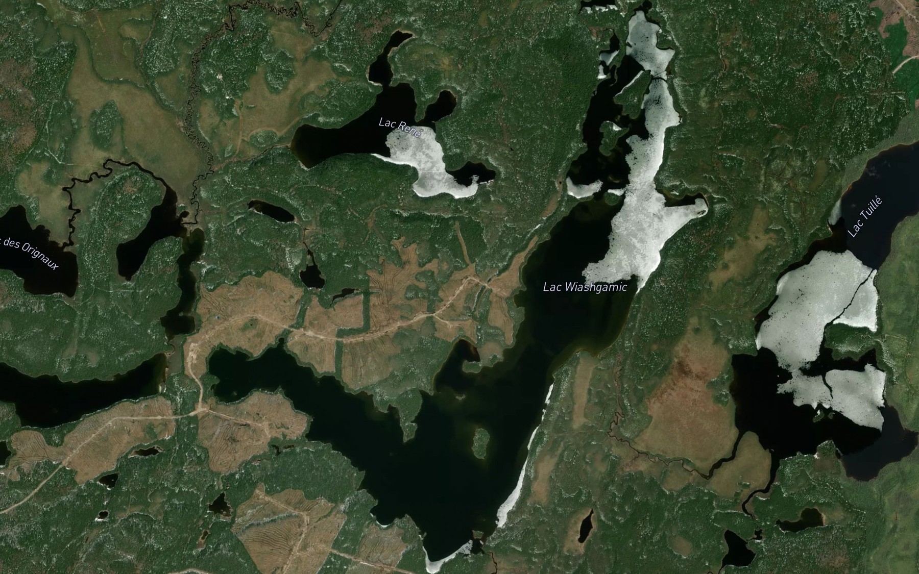 Satellite map of the Lac Wiashgamic