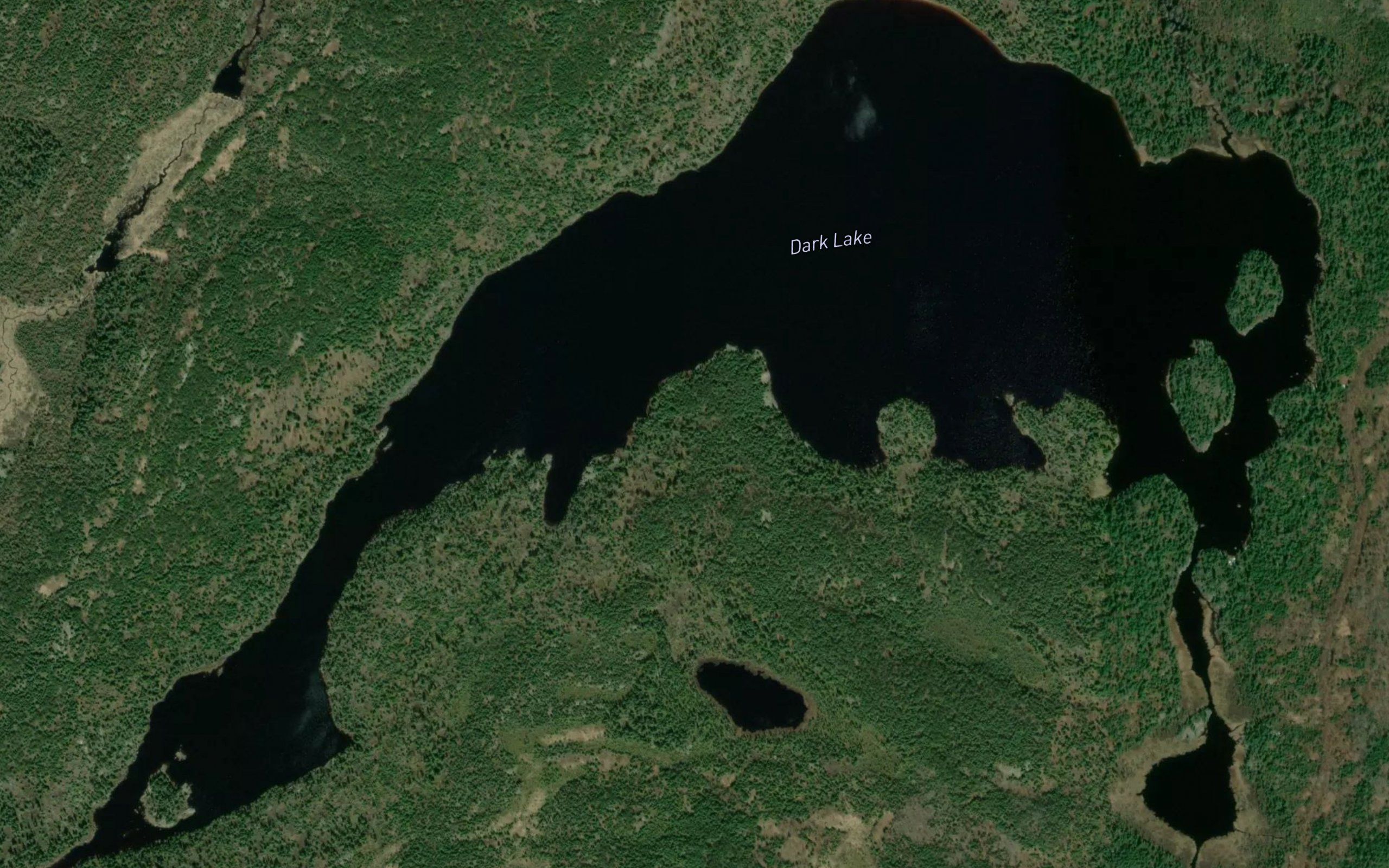 Dark Lake