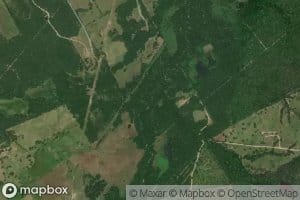 Joe Creek