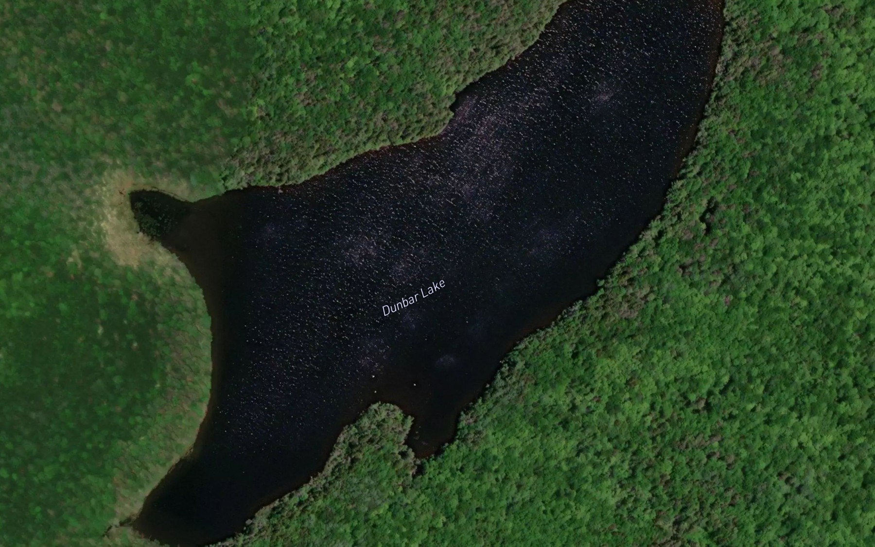 Satellite map of the Dunbar Lake