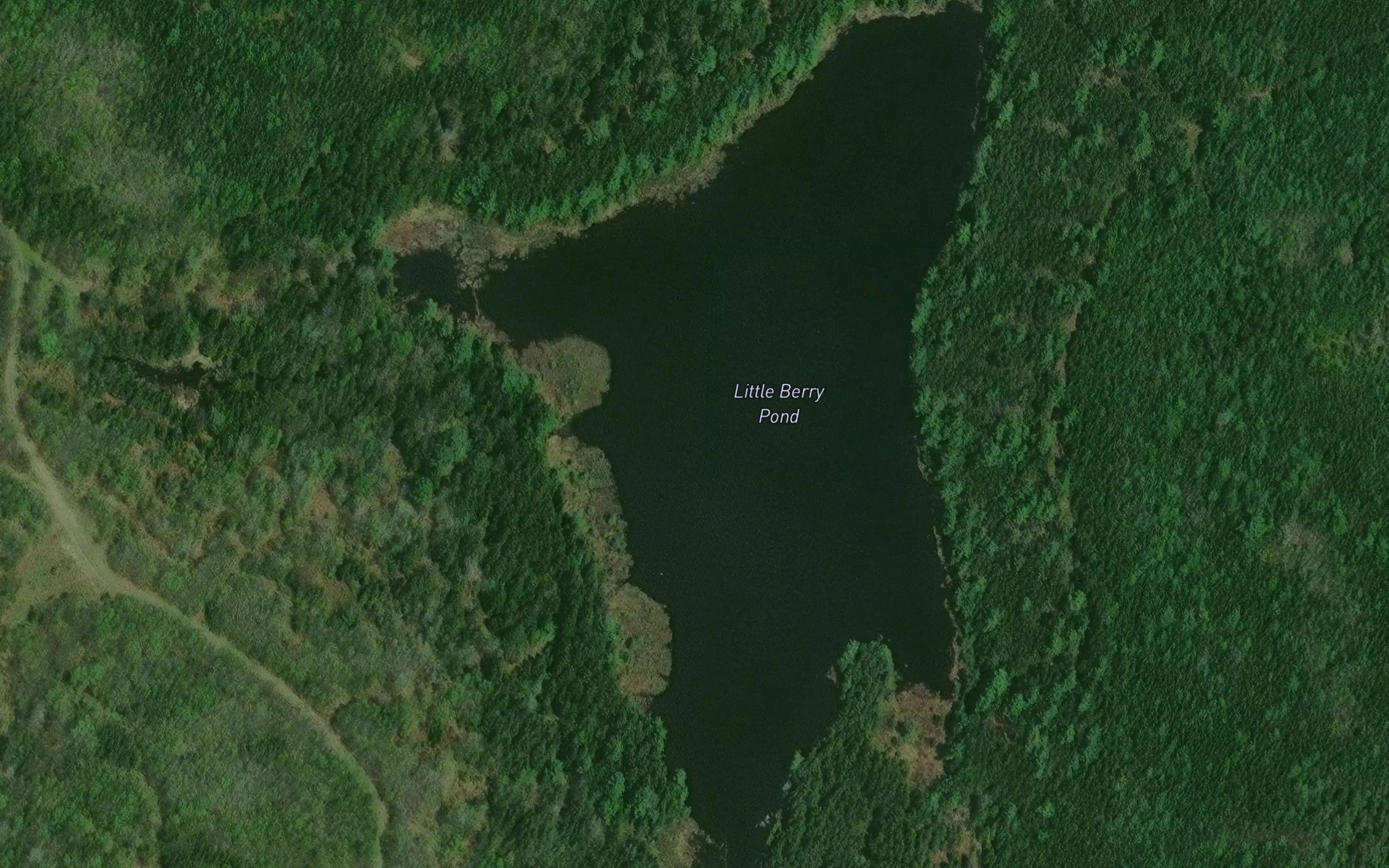 Little Berry Pond
