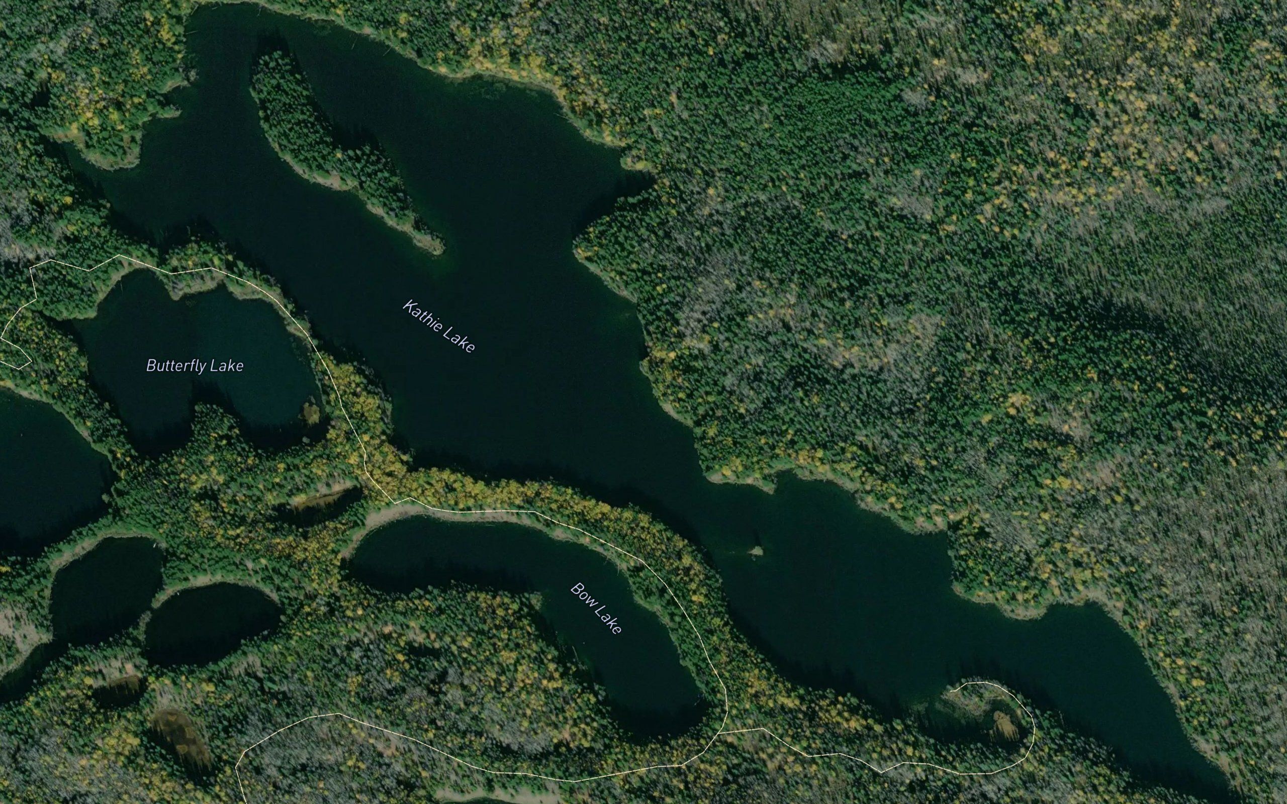 Kathie Lake