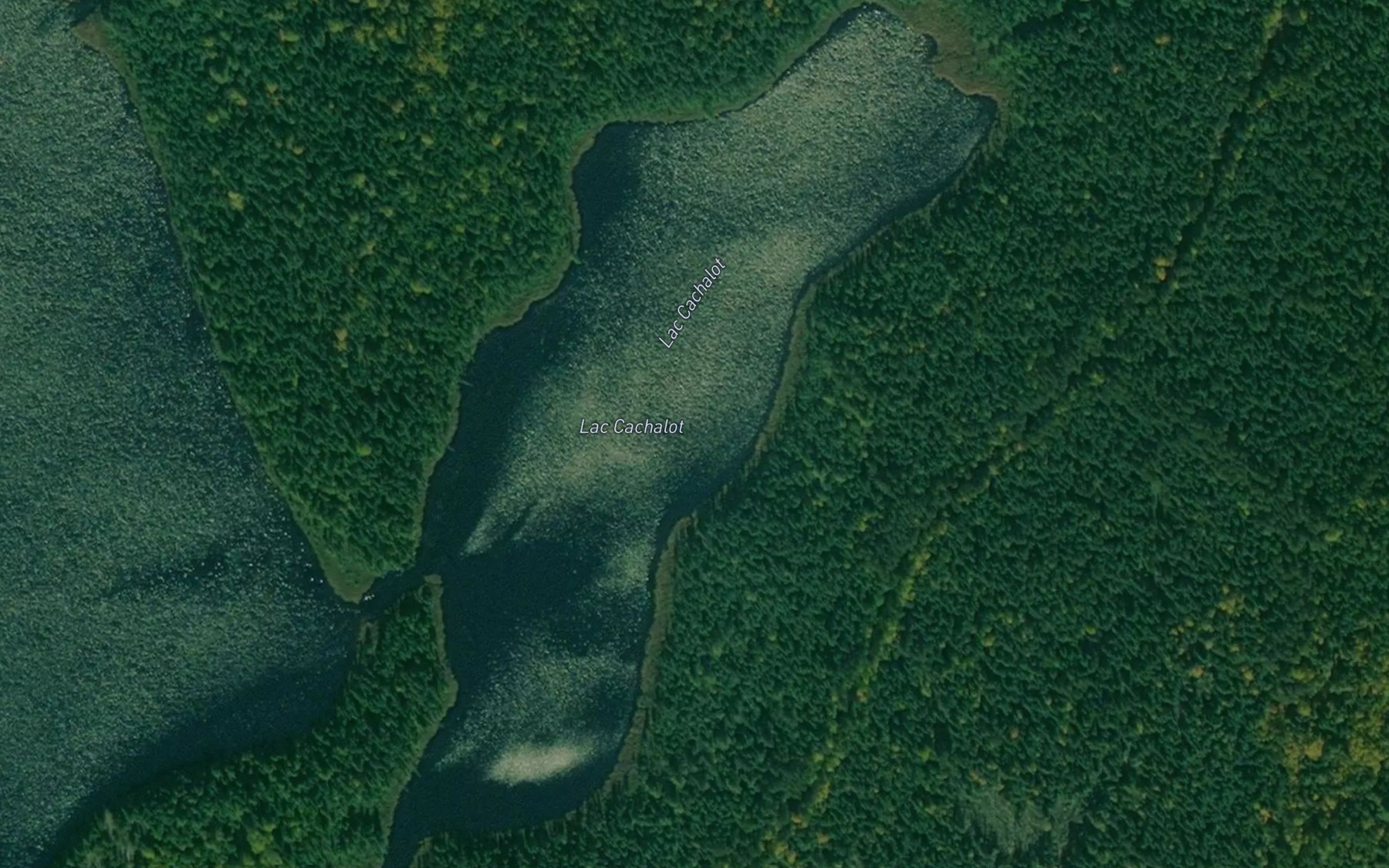 Satellite map of the Lac Cachalot