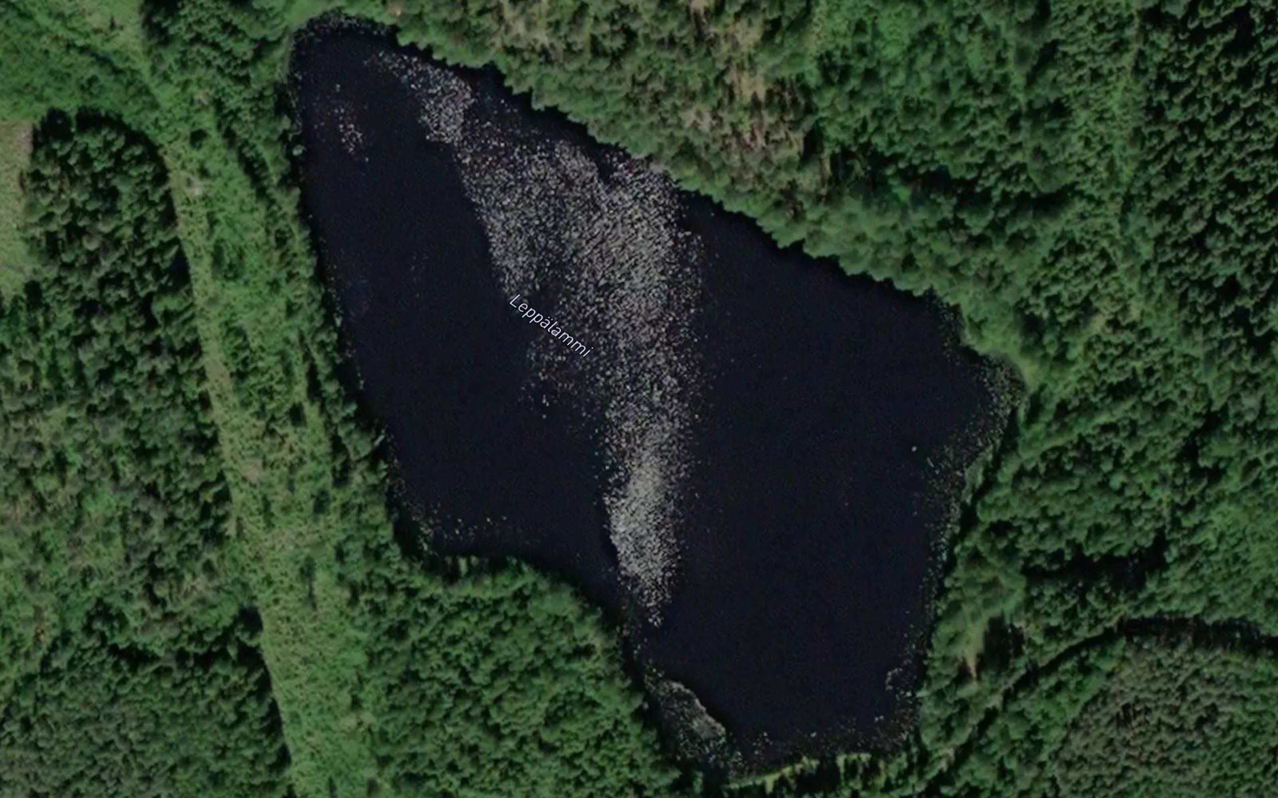 Leppalammi