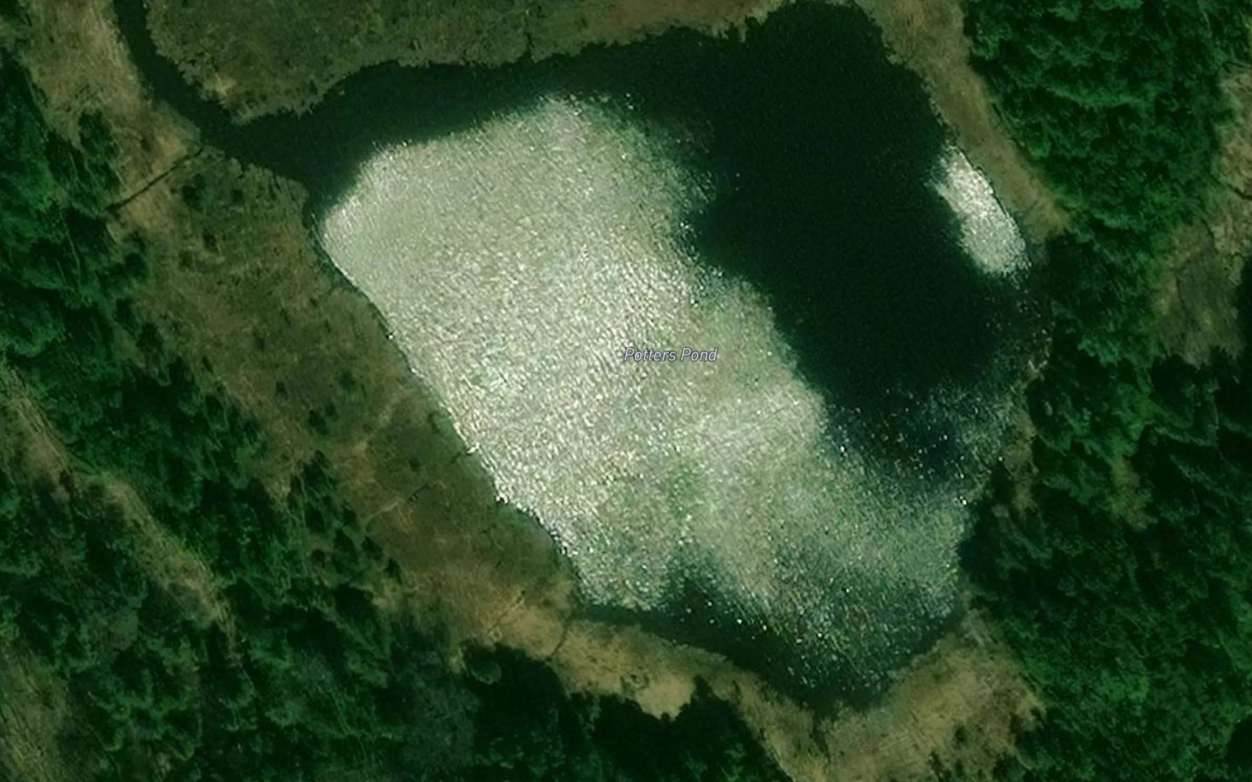 Potter Pond