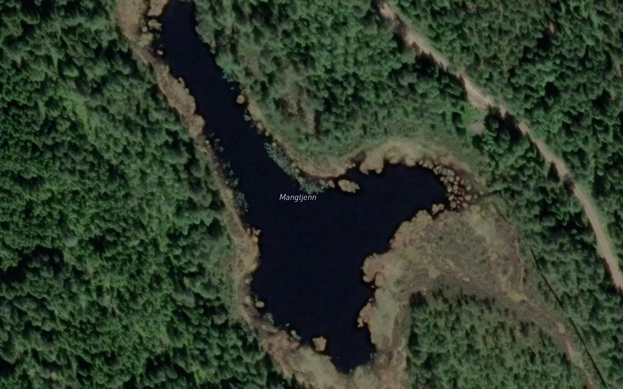 Mangtjern