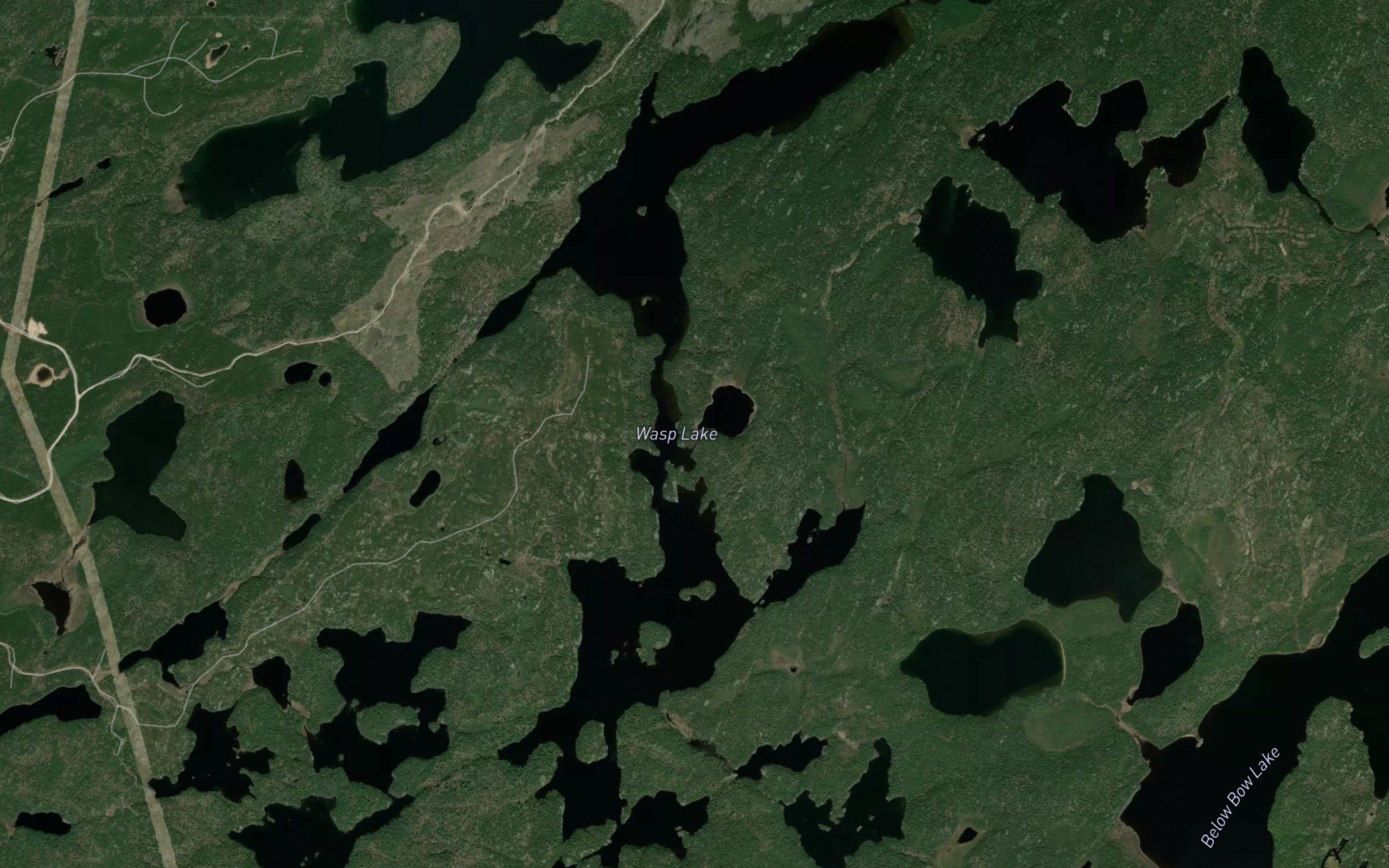 Wasp Lake