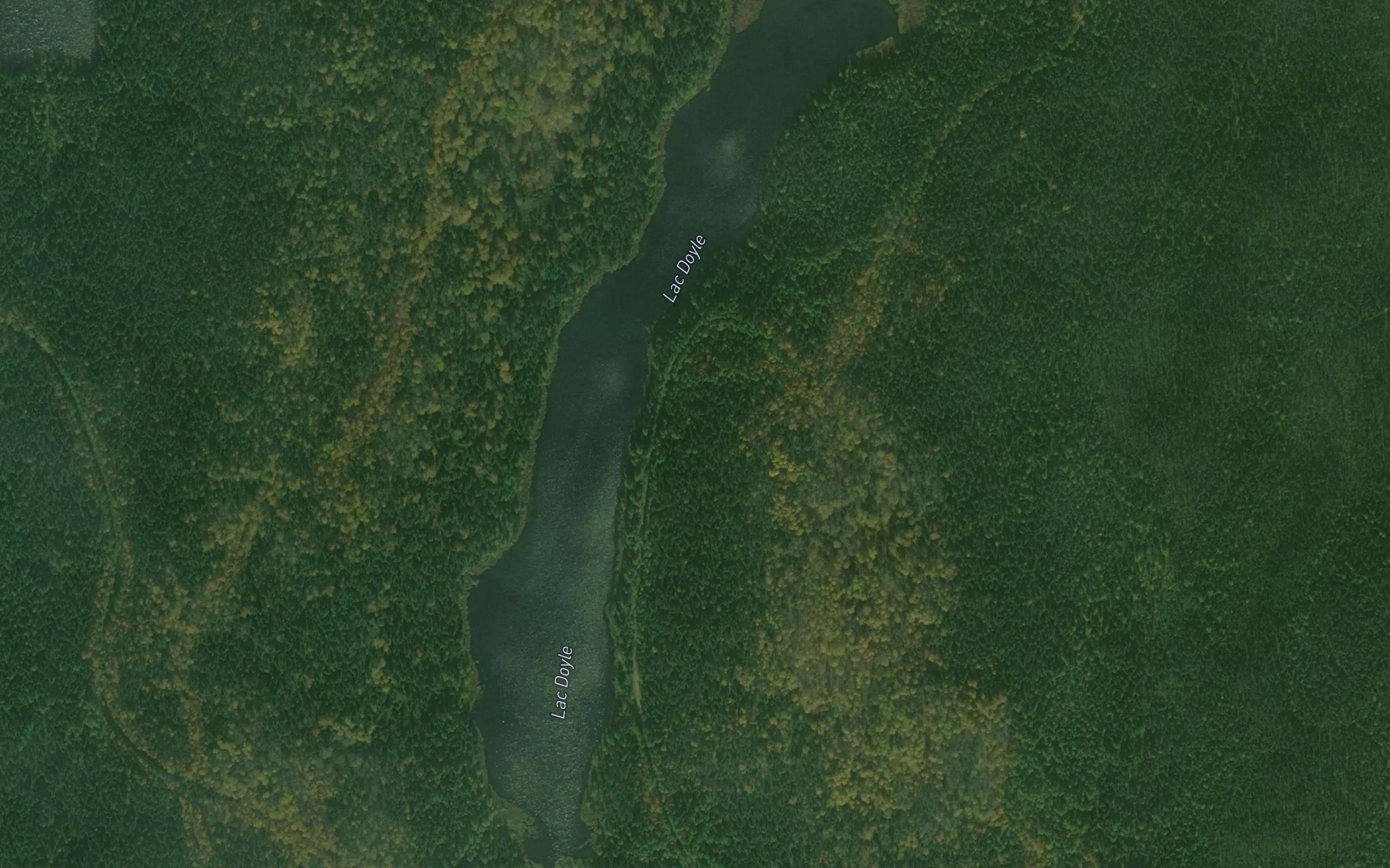 Lac Doyle