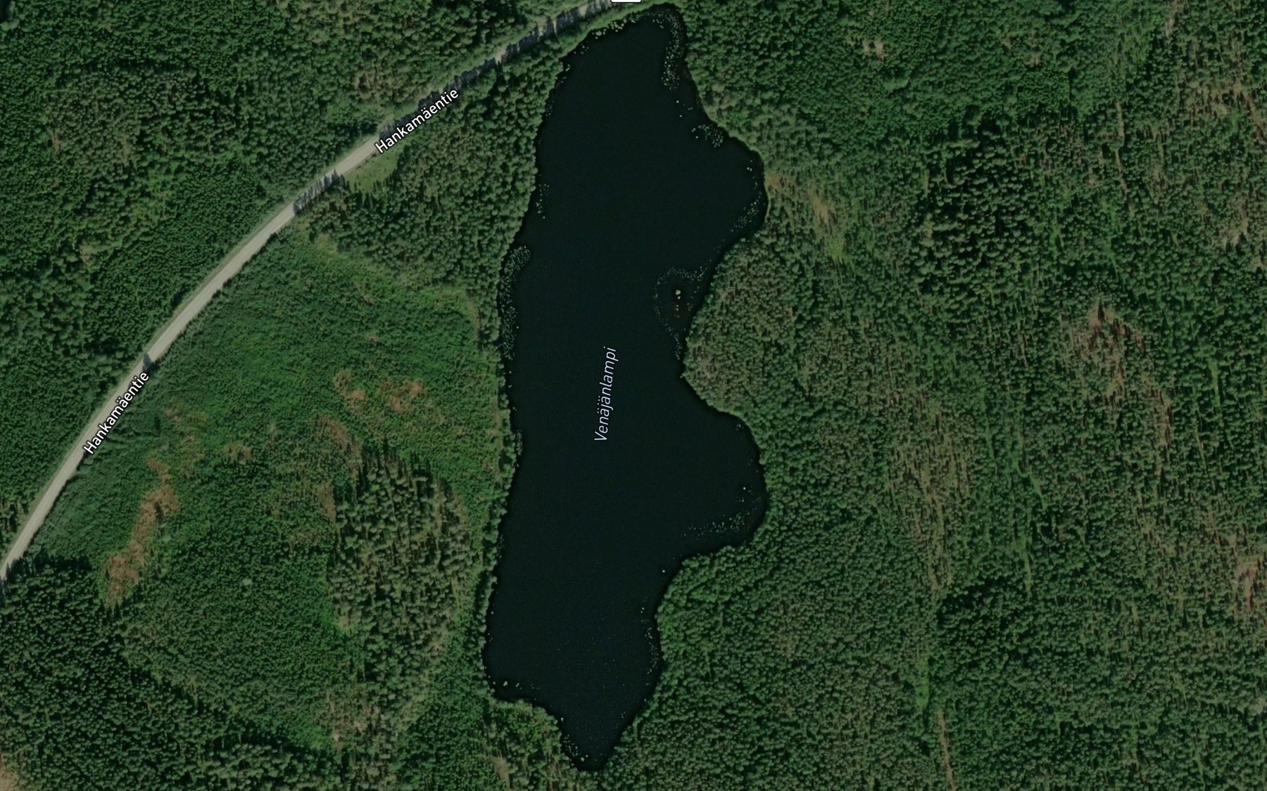 Satellite map of the Venajanlampi