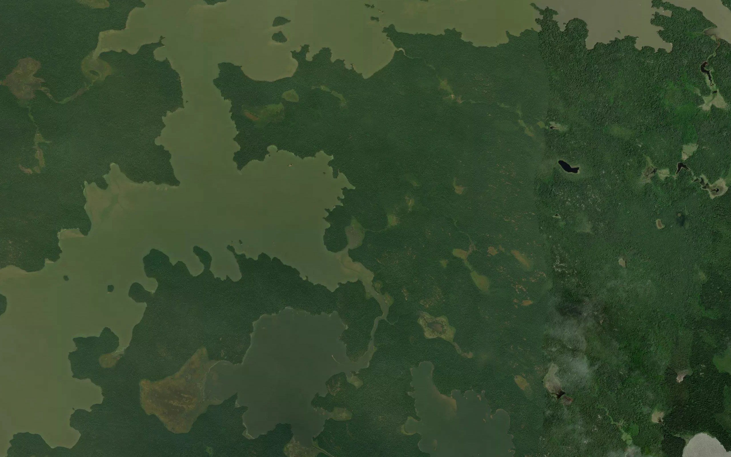 Wildcat Bay