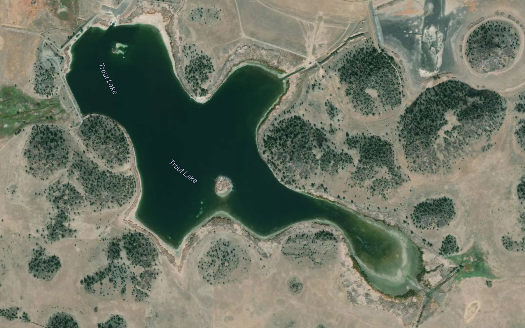 Satellite map of the Trout Lake